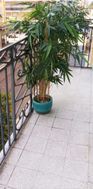 Photo n°1