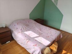 Photo n°6