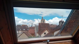 Photo n°8