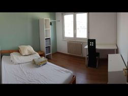 Photo n°6