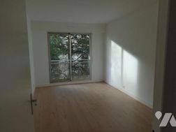Photo n°6