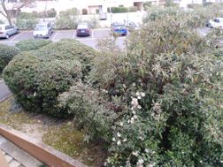Photo n°4