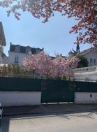 Photo n°2