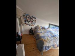 Photo n°5