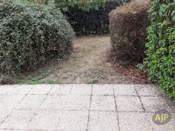 Photo n°4
