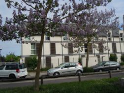 Photo n°1
