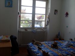 Photo n°1