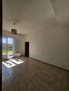 Photo n°4