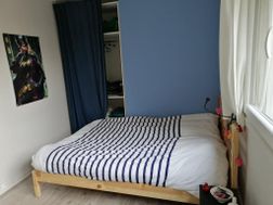 Photo n°4