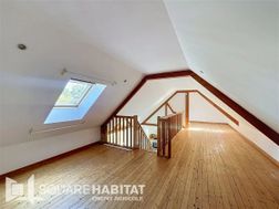 Photo n°5