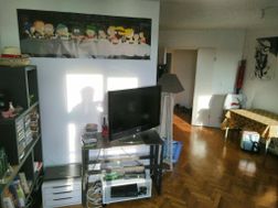 Photo n°4