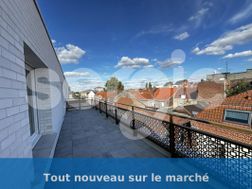 Photo n°6