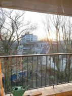 Photo n°6