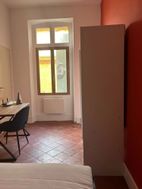 Photo n°4