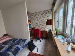Photo n°8