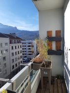 Photo n°6