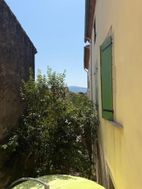 Photo n°6