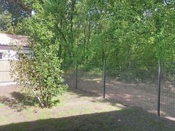 Photo n°4