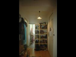Photo n°4