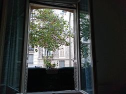 Photo n°6