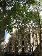 Photo n°2