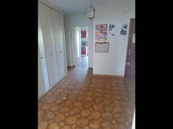 Photo n°4