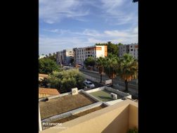 Photo n°3
