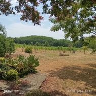 Photo n°4