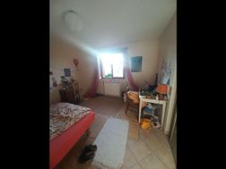 Photo n°9