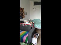 Photo n°5