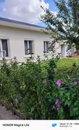 Photo n°1