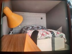 Photo n°3