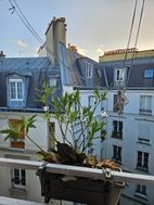 Photo n°3