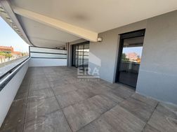 Photo n°7