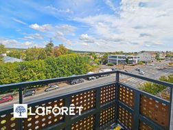 Photo n°8