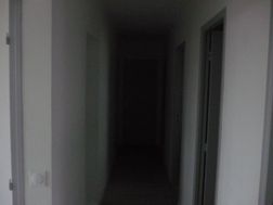 Photo n°8