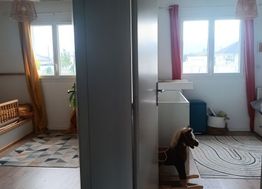 Photo n°3