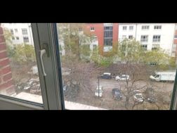 Photo n°5