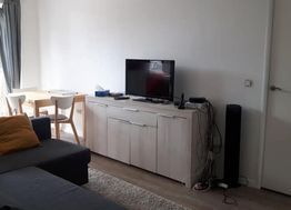 Photo n°1