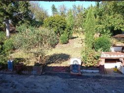 Photo n°5