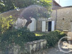 Photo n°3