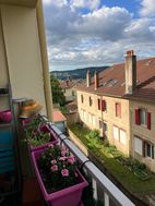 Photo n°1
