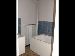 Photo n°6