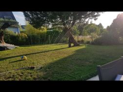 Photo n°2