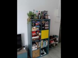 Photo n°5