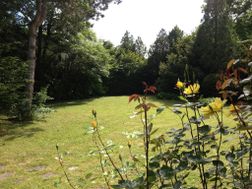 Photo n°2