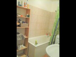Photo n°4