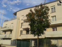 Photo n°4