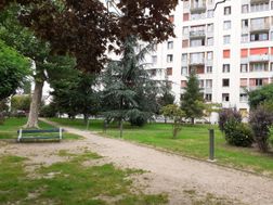 Photo n°13