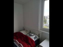 Photo n°5